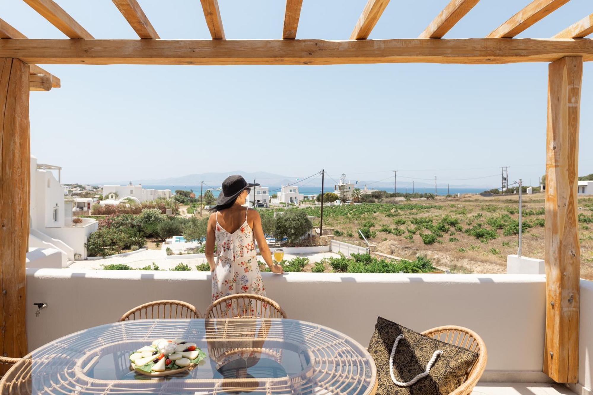 Villa Finest -Seaside Villa With Private Swimming Pool- Mikri Vigla Ngoại thất bức ảnh